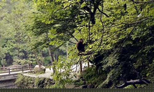 青川县天气预报一周_青川县天气预报一周7天