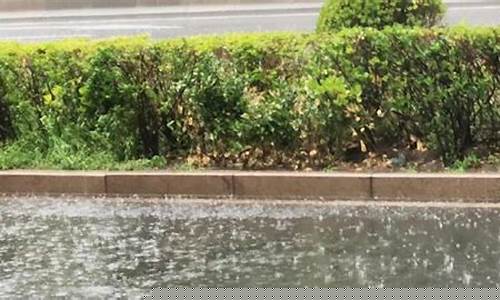 锦州天气预报30天准确 一个月丹参保心茶_锦州天气预报15天天气预报