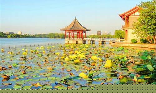 山东好玩的旅游景点排行_山东好玩的旅游景点排行 排名