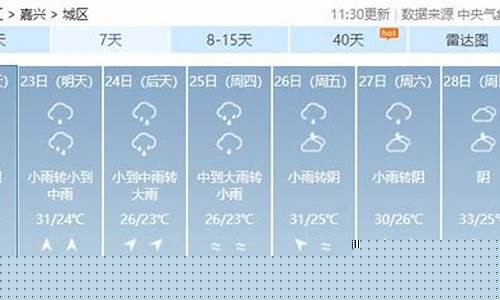 嘉兴天气预报15天查询结果_上海嘉兴天气预报15天查询结果