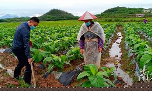 南雄天气预报_南雄天气预报15天查询百度