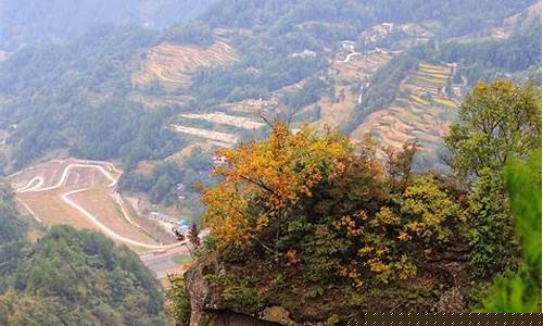 利川苏马荡天气预报15天查询_利川苏马荡天气预报15天查询宜昌天气