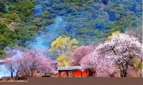 3月4月旅游最佳旅游景点_3月4月旅游最佳旅游景点山东